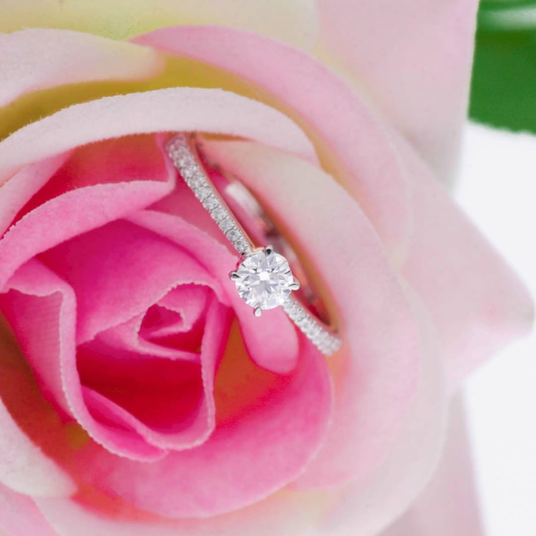 Cincin Emas Putih atau Perak, Mana yang Lebih Baik? cincin emas putih, cincin perak, model cincin emas putih,