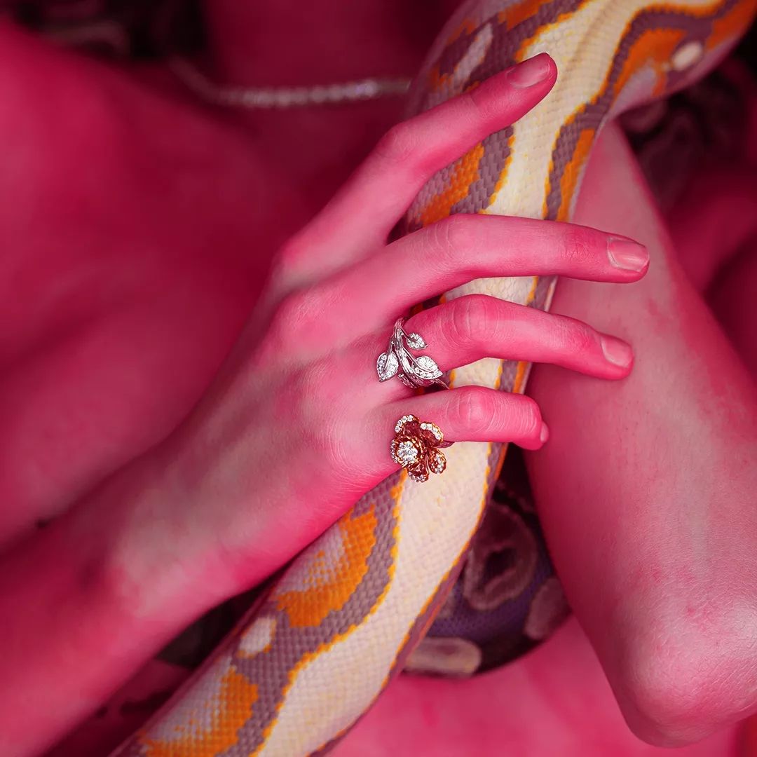 Cincin Lamaran dan Nikah Sama Apa Beda? Ini Penjelasannya! cincin lamaran, cincin lamaran dan nikah sama apa beda,
