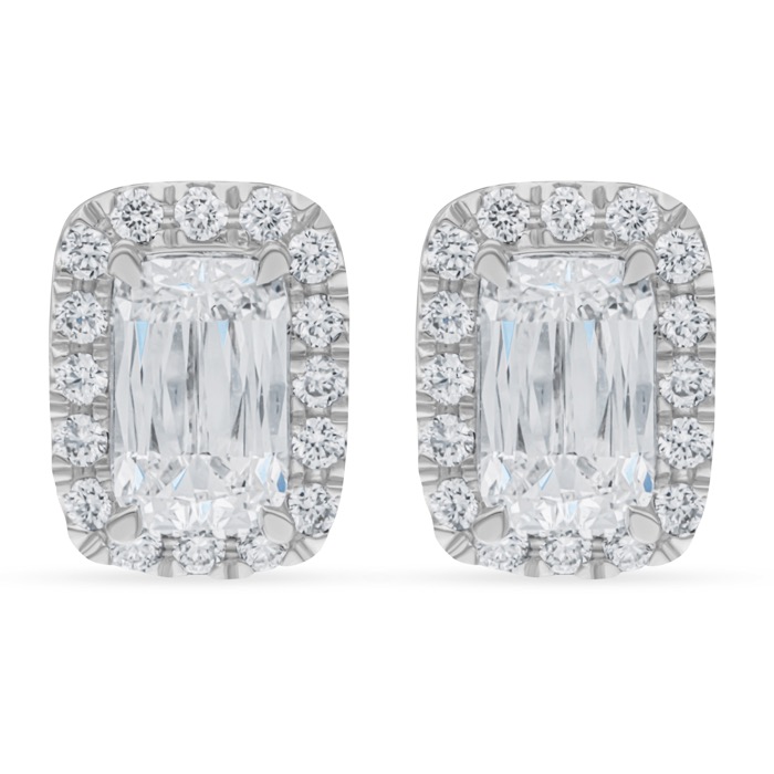 Diamond Ladies Earrings Ashoka AF1128