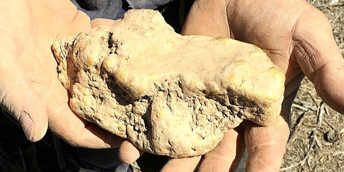 Ditemukan Emas Seberat 4,1 Kg oleh Seorang Pria Pemburu Harta Karun Di Australia Ditemukan Emas Seberat 4,1 Kg oleh Seorang Pria Pemburu Harta Karun Di Australia