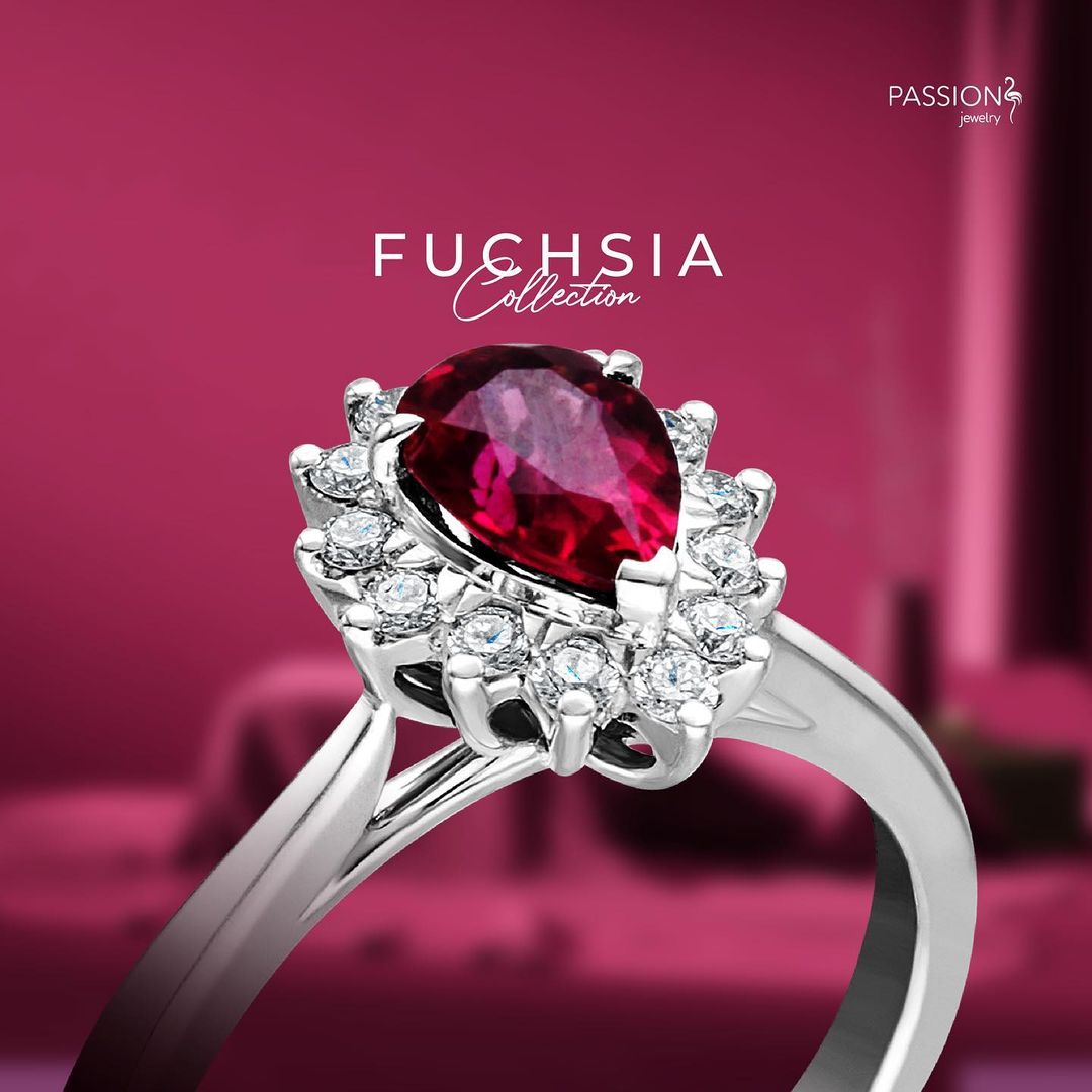 fuchsia collection,
