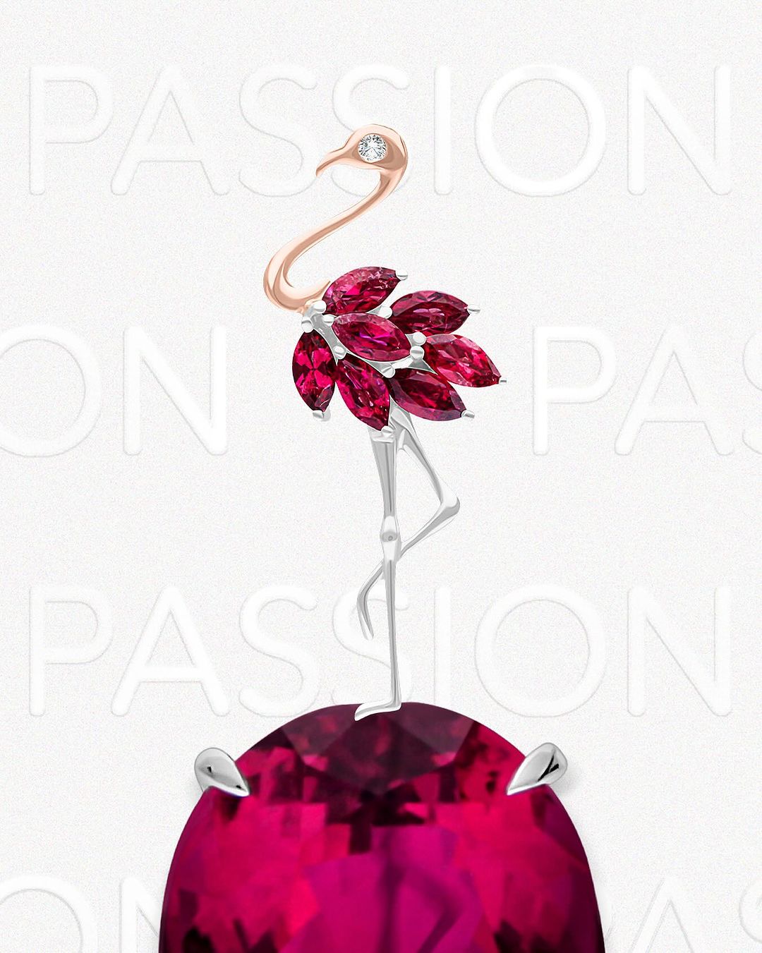 pernyataan fuchsia dalam bulan ramadhan,