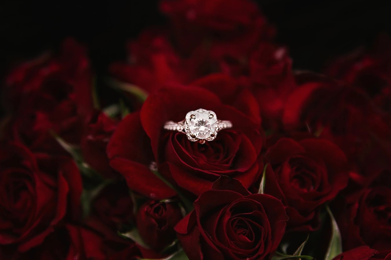 Tips Memilih Cincin Surprise Lamaran Tips Memilih Cincin Surprise Lamaran